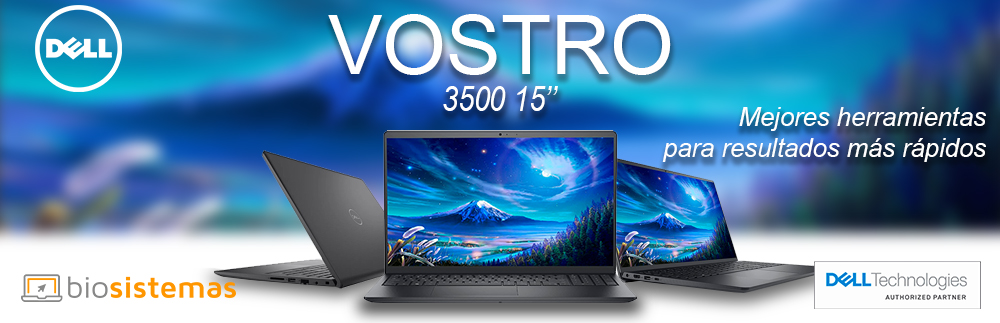 DELL Vostro 3500 (15 pulgadas)