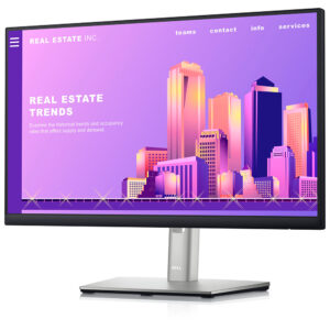 <b>DELL P2222H</b> 22pulg | FULL HD 1920 x 1080 | Panel IPS