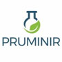 Pruminir