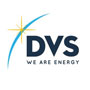 dvs