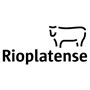 rioplatense
